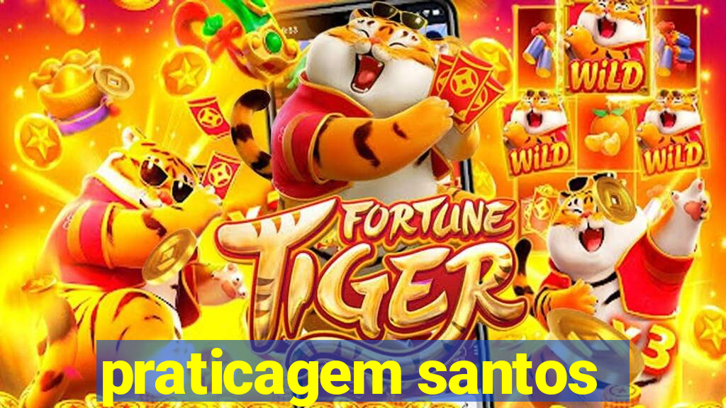 praticagem santos